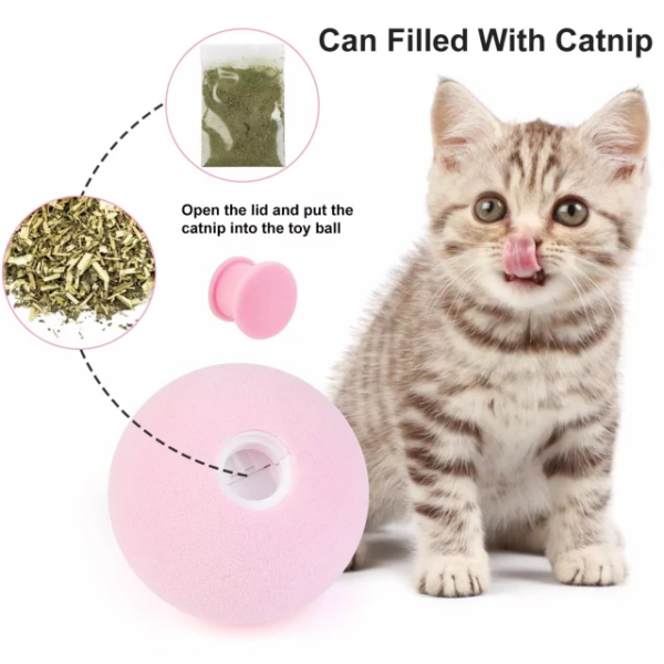 Interactive Cat Chirping Toy Ball with Cat Nip - Image 4
